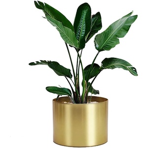 กระถางต้นไม้ทรงกลมที่มีสไตล์พร้อมทองสำหรับตกแต่งสวนและบ้าน - Product Image 4