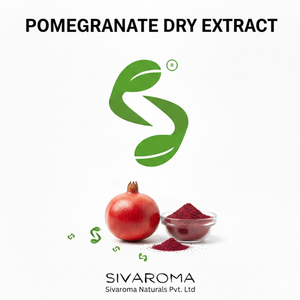 Poudre d'extrait sec de grenade d'origine naturelle, conçue pour les mélanges alimentaires, les préparations de boissons et les formulations cosmétiques - Product Image 6