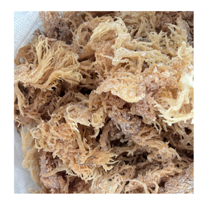 สาหร่ายดิบแห้งสาหร่ายม่วง Eucheuma cottonii มอสทะเล - Product Image 6