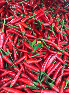 Premium Frozen Chili-Proveedor de confianza VIET THIEN PHU de Vietnam-Embalaje a granel Picante caliente-Saludable-Chile de alta calidad - Product Image 4