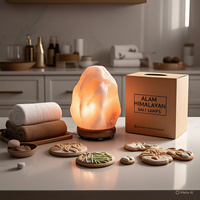 Lampe de sel de l'Himalaya naturelle certifiée GMP, 2-3 kg, écologique, faite à la main, avec cordon électrique, ampoule en forme de fleur, Feng Shui, animal, ange, décoration intérieure
