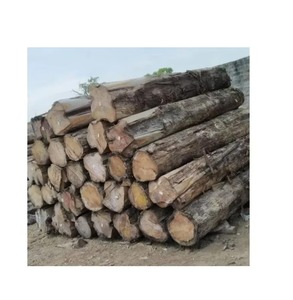 Save Big on Bulk Sapele <b>Wood</b> <b>Logs</b> for Creative Home Improvement Projects and More Round Pattern - Product Image 4