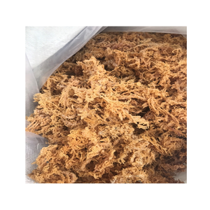 Mousse de mer séchée - Product Image 2