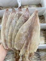Meilleure vente de calmar séché de qualité supérieure disponible goût frais de l'océan parfait pour la vente au détail et en gros du Vietnam 2025