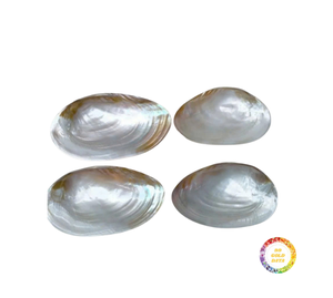 Coquillage naturel poli artisanat assiette en nacre de luxe vaisselle faite à la main assiette en nacre pour Caviar - Product Image 6