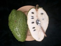 Goede Prijs Bevroren Hele Zuurzak Fruit Natuurlijke Guanabana Bulk-Verpakte Hoek
