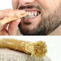 Brosse à dents en bois naturel HerboGate, brosse à dents à base de plantes, antibactérienne, rafraîchissante, renforçant les gencives, hygiène bucco-dentaire naturelle multi-usages