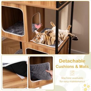 Meet Cats INSTINCTS & Curiosity Múltiples puntos cómodos para gatitos Tablero de sisal Exploraciones Agujero Totalmente envuelto - Product Image 2