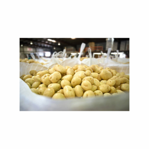 Meilleure vente de frites de pommes de terre fraîches biologiques à bas prix en gros pour des frites surgelées directement d'Autriche - Product Image 5