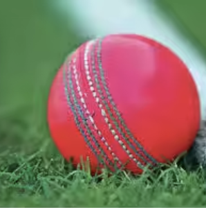 Hardball de cuero duradero profesional para Cricket y Match Play Esquema de color rojo blanco rosa - Product Image 2