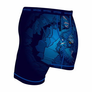 Shorts de grappling MMA imprimés par sublimation pour hommes, vêtements d'arts martiaux, shorts de boxe, shorts MMA - Product Image 1
