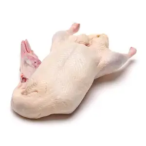 Vente en gros de viande de canard entière congelée