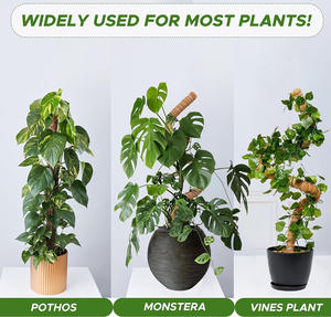 Stock US, livraison rapide ! Lot de 2 poteaux en mousse écologiques carrés de 39,3 pouces pour la maison et le jardin - Support pour plantes grimpantes - Product Image 4