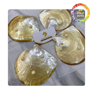 จานประดับมุกสำหรับตกแต่งร้านอาหารจานเปลือกหอยทำด้วยมือ - Product Image 4