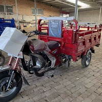 Motocicleta Triciclo de Gasolina de 200cc, Recién Llegada a China, Motor Cg de 4 Tiempos, con Tanque de Gasolina de Alta Resistencia, para Uso de Carga, en Venta