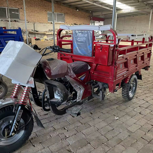 Motocicleta Triciclo de Gasolina de 200cc, Recién Llegada a China, Motor Cg de 4 Tiempos, con Tanque de Gasolina de Alta Resistencia, para Uso de Carga, <span class=keywords><strong>en</strong></span> Venta - Product Image 1