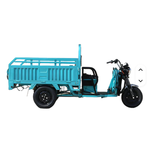 2025 <b>Cheap</b> E-Trikes 3 Wheel Cargo Electric Tricycles <b>Motorcycle</b> Three Wheel Adult - Product Image 2