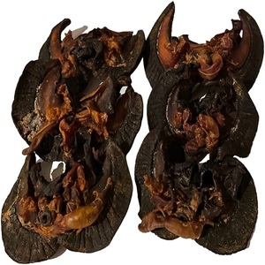 Bulk Export Frozen Dried African Snails-Salty/<b>Sour</b>/Spicy/<b>Sweet</b> Tastes Packaged in Bags for Adults - Product Image 2