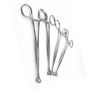 Fórceps de tejido Babcock superventas 7,25 "delicado 10 mm de ancho mandíbulas tejido agarrar fórceps Babcock disponibles en diferentes tamaños - Product Image 2