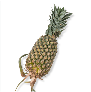 Piña fresca de un stock Entrega rápida y sabor Premium garantizado Compre ahora Mejor precio de venta - Product Image 6
