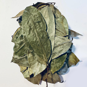 Hoja de Graviola seca, la mejor calidad, el precio más barato, Hojas de Guanábana seca a granel para hacer té saludable - Product Image 1