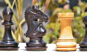 Jeu d'échecs en bois fait main de 4 pouces pour enfants, roi en ébène/buis et padauk/buis - Product Image 3