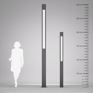 Luxera เสาสแตนเลสแอลอีดีแสงกลางแจ้ง IP65สำหรับสวนถนนและภูมิทัศน์300ซม. - Product Image 5