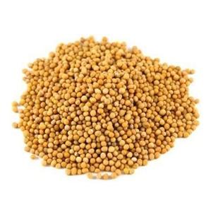 Graines de moutarde 2026 Graines de moutarde jaunes de haute qualité - Product Image 5