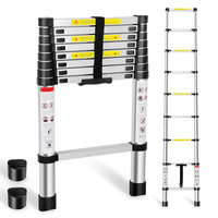 Échelle télescopique en aluminium légère pour usage domestique, taille compacte avec goupilles de sécurité