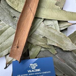 Venta al por mayor de alta calidad, hoja de Casia, canela, especias y hierbas secas individuales de Vietnam disponibles-Cinnamomum Cassia / ANNA DO VILA - Product Image 3