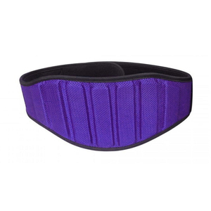 Ceinture de musculation réglable pour la remise en forme, personnalisable avec logo, équipement d'entraînement de puissance, cuir néoprène avec acier - Product Image 5