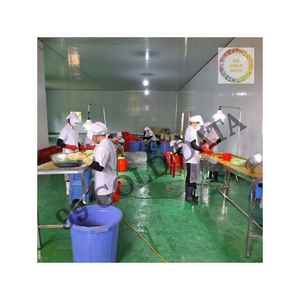 เสาวรสแช่แข็งจากธรรมชาติร้อยละ100ไม่มีสารปรุงแต่งที่เหมาะสำหรับการผลิตน้ำผลไม้และการแปรรูปอาหาร - Product Image 5