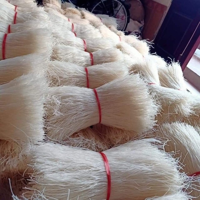 Anna DO High Quality 100% Rice Dried Vietnamese Vermicelli Bun Tuoi Oem/Odm New Product Wholesale Bulk Vacuum Pack