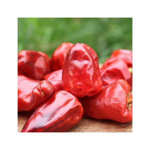 Qualité naturelle Meilleur prix Piment rouge séché disponible en vrac - Product Image 3