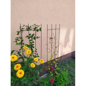 Ensemble de 3 pergolas de jardin en métal avec treillis de support pour plantes à fleurs et roses - Product Image 4