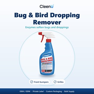 Spray Rimuovi Insetti per Auto 500ml, Detergente Enzimatico per Paraurti, Griglie e Parabrezza, OEM all'Ingrosso - Product Image 1