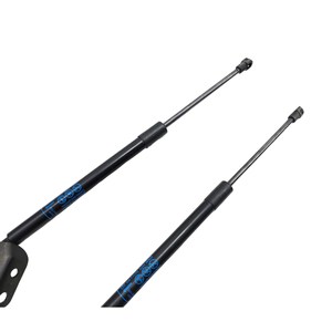 Tappo Cofano Posteriore OPEL Serie Karl 42400107 (15>17) - Product Image 5