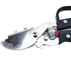 Outil chirurgical porcelet de coupe de queue d'instrument chirurgical vétérinaire de chauffage électrique réutilisable de haute qualité pour les porcs et les chèvres - Product Image 2