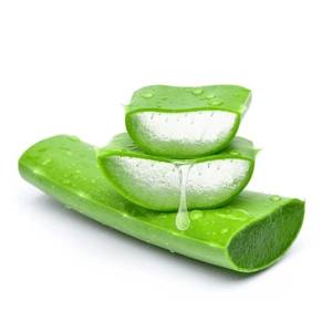 Polvo de Aloe Vera Orgánico Silvestre, Extracto de Planta Natural Extraído con Solvente, Grado Alimenticio, Suplemento para Bebidas, Proveedor de Exportación a Granel - Product Image 2