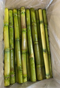 ไม้เท้าแช่แข็งสำหรับเครื่องดื่ม iqf - Product Image 6