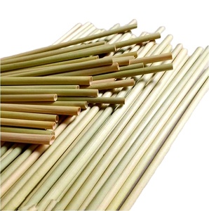 Pajitas de hierba orgánicas ecológicas | Pajitas de hierba natural | Pajitas de hierba de Vietnam desechables con alta calidad y buen precio - Product Image 1
