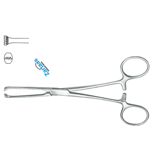 Fórceps de tejido intestinal Allis de acero inoxidable de alta calidad 5x6 dientes 19cm/7,5 "fabricante de instrumentos quirúrgicos - Product Image 4