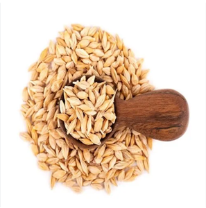 Dónde comprar pienso malteado de grano de cebada de la mejor calidad En stock Entrega rápida al por mayor disponible para la venta - Product Image 6