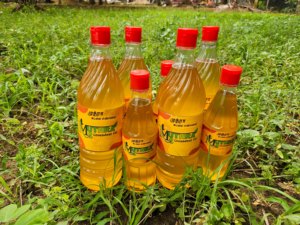 100% Tinh Khiết Lạnh Ép Lạc Dầu Nhà Máy Giá 100% Ăn Được Dầu Đậu Phộng OEM Xuất Khẩu Đóng Gói Có Sẵn Cho Nấu Ăn Nông Nghiệp - Product Image 2