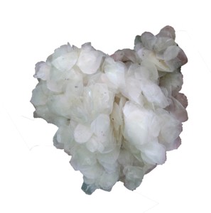 ขนาดปลากะพงขาวจากแม่น้ำโขง ossein สำหรับอุตสาหกรรมอาหารคอลลาเจนจาก99โกลด์ดาต้าเวียดนาม - Product Image 6