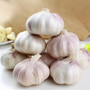 Acheter directement de l'usine 100% Ail blanc frais biologique naturel de légumes lililiacés 25kg 24 mois de durée de conservation livraison rapide - Product Image 6