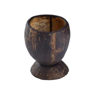 Tasses et soucoupes à thé sophistiquées et écologiques en coquille de noix de coco Conception de nouveauté durable Mise à niveau de verres en gros pour le thé au vin - Product Image 1