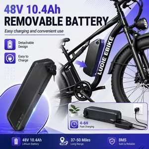 Vélo électrique LUDIE EBIKE à pneus larges de 26 pouces - Product Image 2