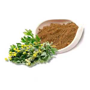 Powder artemisia absinthium L (wormwood) extract to cleanse the body of pathogenic microflora