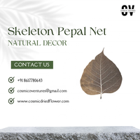 Fleur séchée cosmique de bonne qualité, feuille de pétale naturelle séchée, écologique, élégante et moderne, pour la décoration de la maison et du bureau